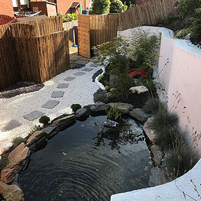 Garden in anniesland